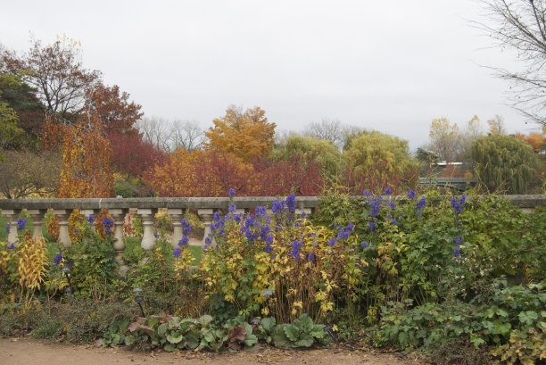 秋天的颜色图片下载