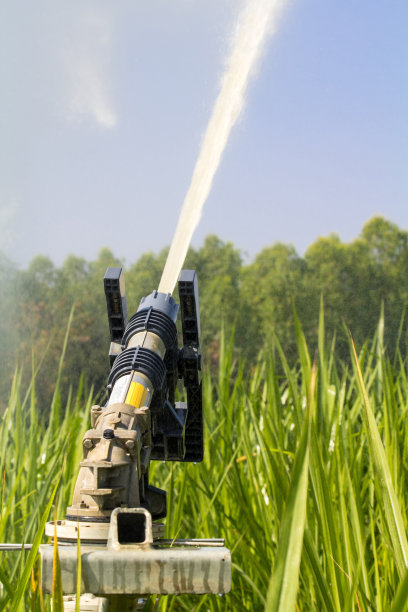 喷头在农场里浇草图片下载
