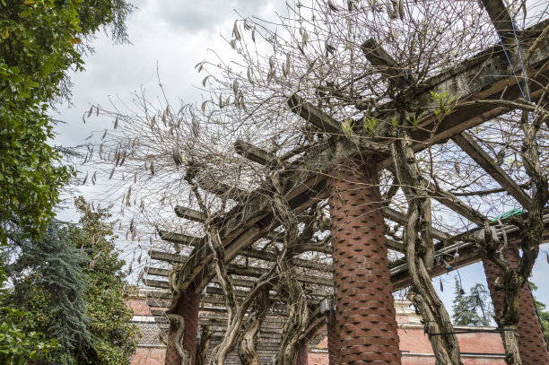 装饰艺术庭院风格图片下载