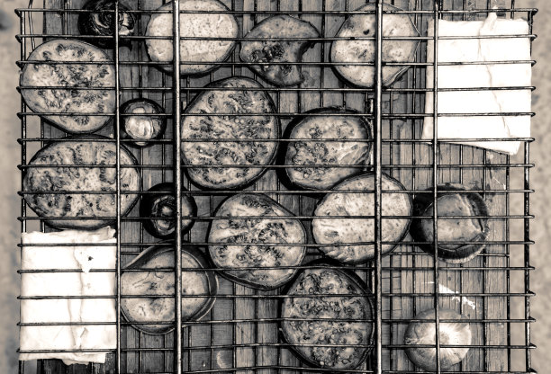 将烤架与炸西葫芦、洋葱和皮塔饼、黑奶酪和白奶酪做对比图片下载