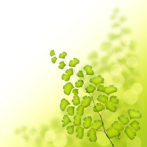 绿树枝缘图片下载