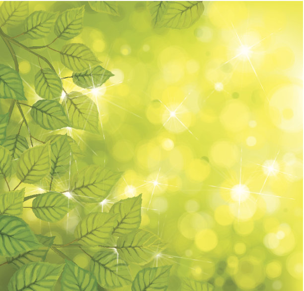 矢量绿叶在阳光的背景。图片下载