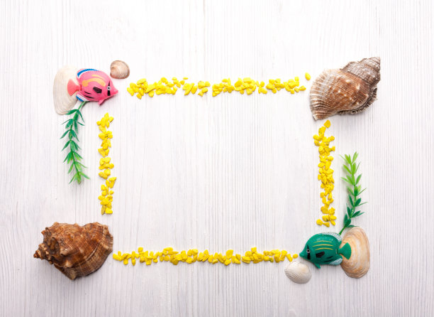 装饰框架与贝壳图片下载