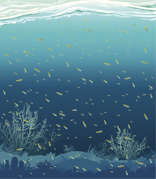 有鱼和珊瑚礁的海景图片下载