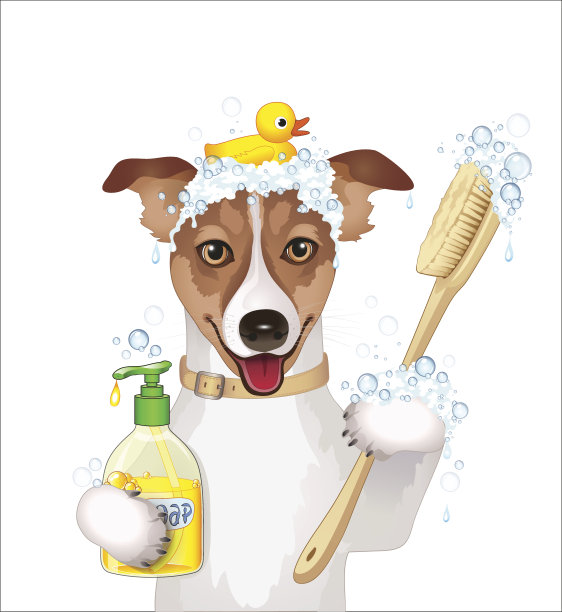 狗狗洗澡时间,图片下载