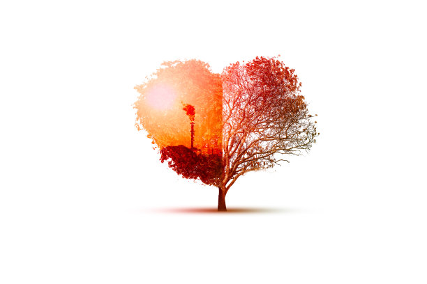 树心死亡暴露在工业工厂的背景。世界爱和清洁能源的概念。图片下载