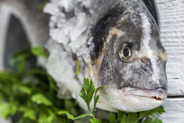 新鲜的生鱼放在木板上。背景。从上面图片下载