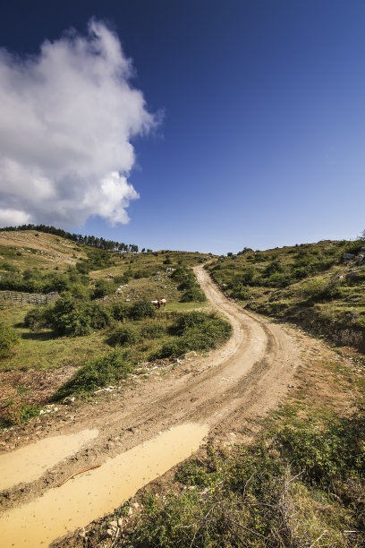 岩石小道图片下载