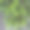 森林中的雨图片下载