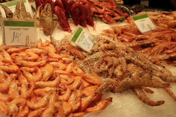 巴塞罗那的La Boqueria的鱼图片下载