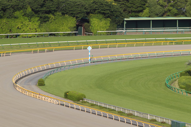 赛马跑道图片下载