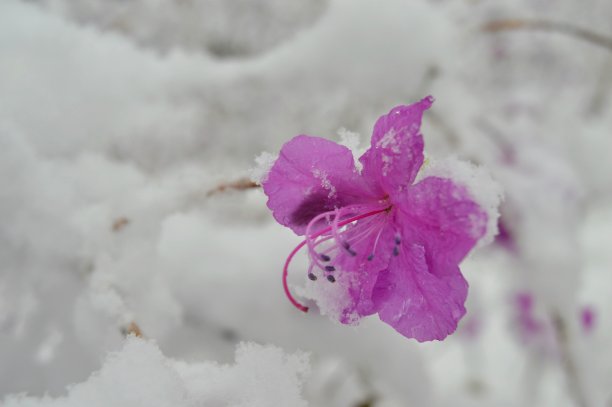 大自然的变幻莫测图片下载