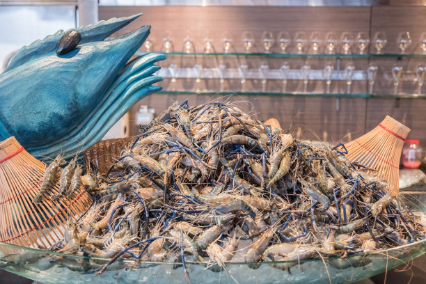 冷海鲜-对虾图片下载