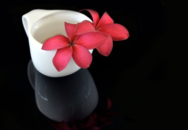 红色plumeria图片下载