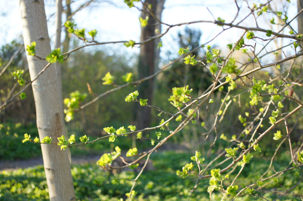 激酶组图片下载