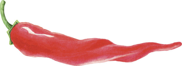 辣椒画图片下载