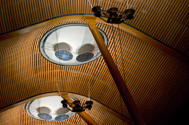 巴拉哈斯机场的天花板结构图片下载