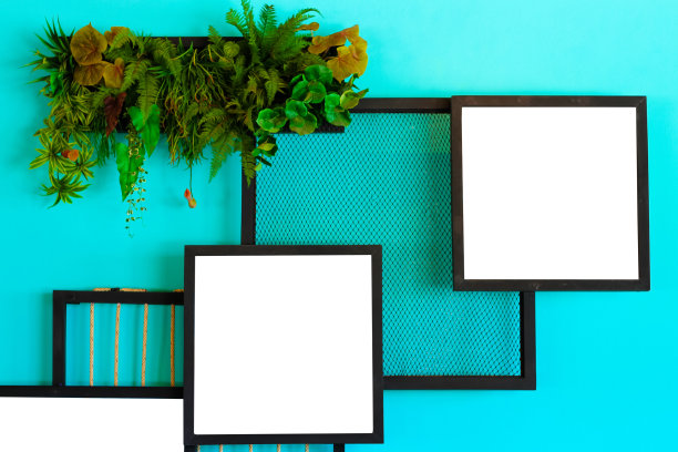 泰国，混凝土墙背景上挂着植物和鲜花的墙相框图片下载