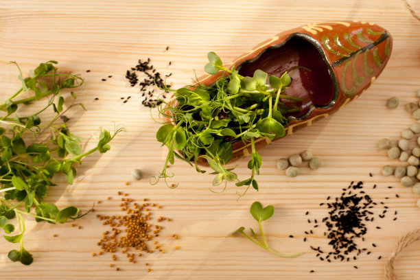 微绿色图片下载