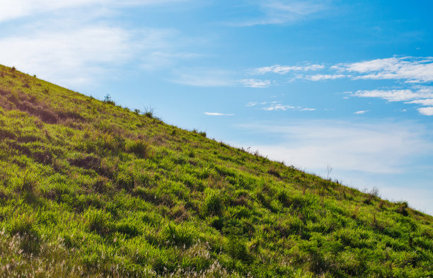 蓝天下的春景图片下载