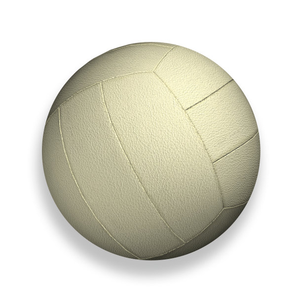 排球孤立在一个白色的背景图片下载