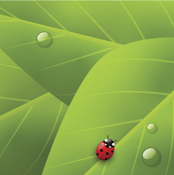 绿色有机的背景图片下载