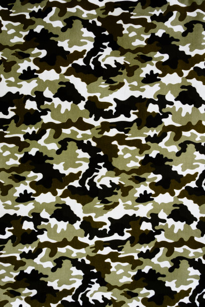 军事结构模式图片下载