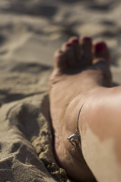 夏天附属物之一图片下载