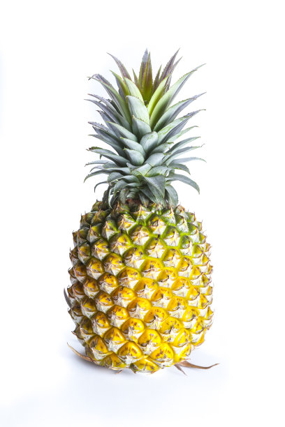 这是一个完整的 菠萝图片下载