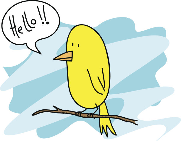 金丝雀的鸟图片下载