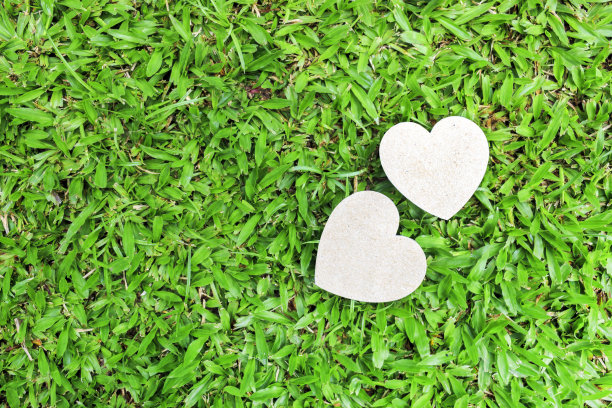 拯救环境的概念。纸在绿色的草地上，以软焦点和过光为背景图片下载