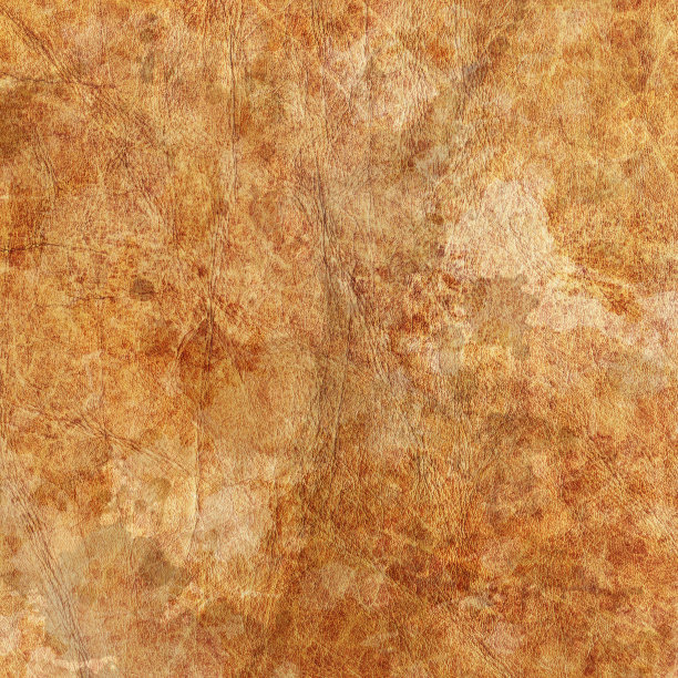 高分辨率动物皮肤羊皮纸枯萎斑驳的Grunge纹理图片下载