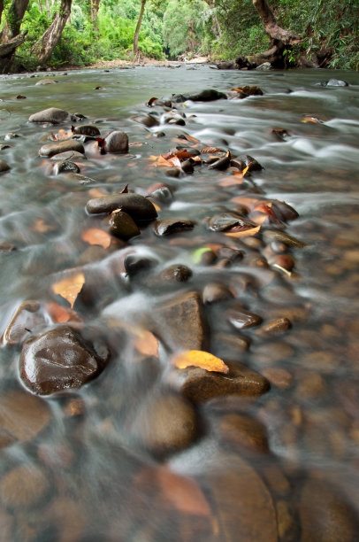 Mantaranau河图片下载