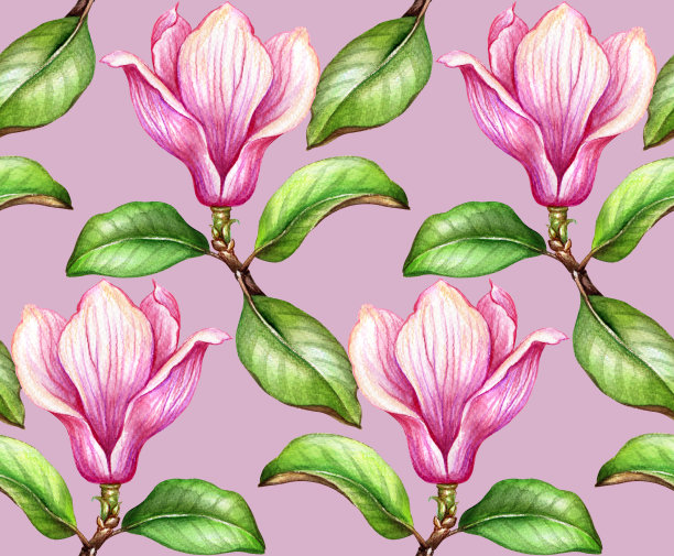 无缝图案，水彩植物插图，玉兰，绿叶，春天的自然，花卉背景，盛开的壁纸图片下载