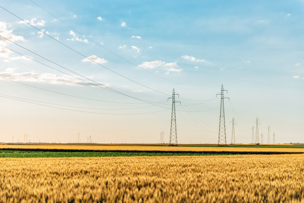 麦田里的电力塔图片下载