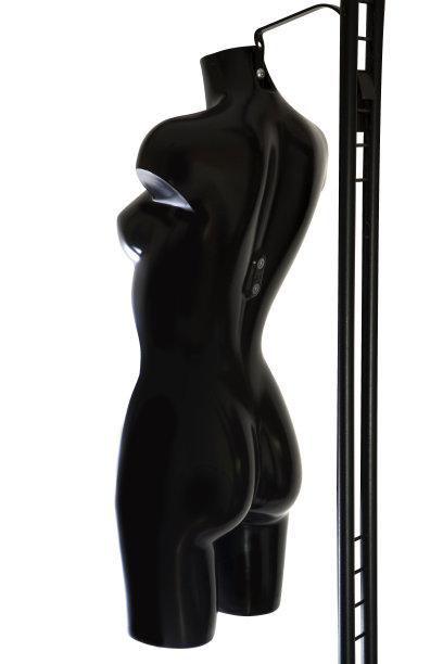 人体模型图片下载