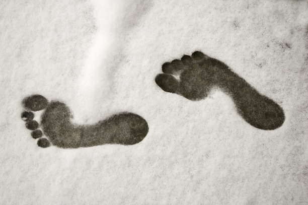 雪地里的脚印图片下载