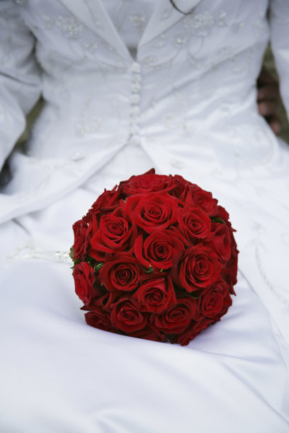 一束红玫瑰图片下载