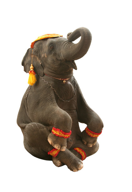 马戏团图片素材ID：155269576