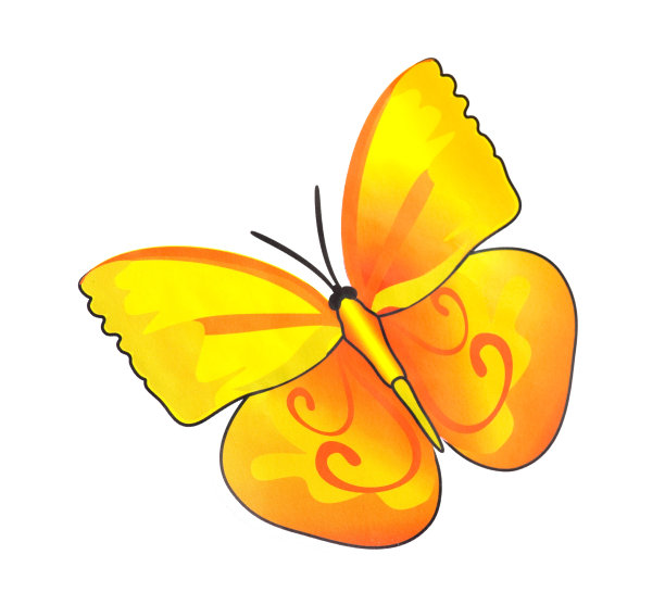 画水彩的蝴蝶图片下载