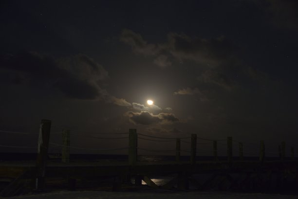 加勒比之夜图片下载