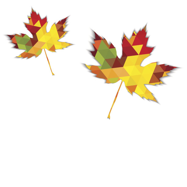 秋天的枫叶三角图片下载