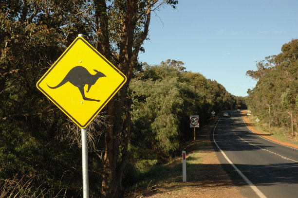 袋鼠路标图片下载
