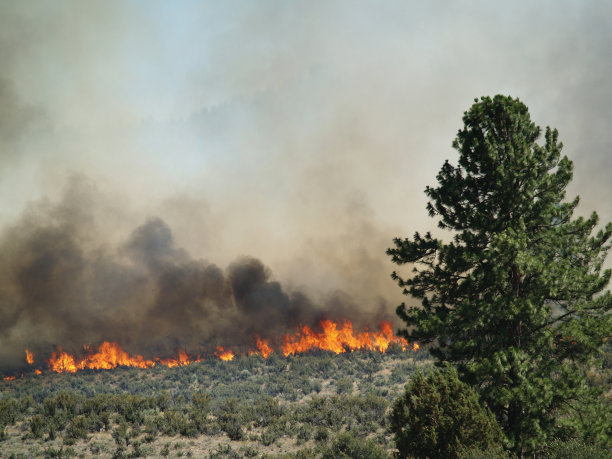 附近燃烧的森林和野火的景象图片下载