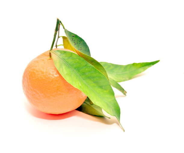 普通话图片下载