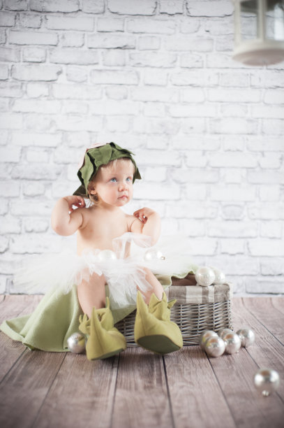 装饰着圣诞节的小矮人图片下载