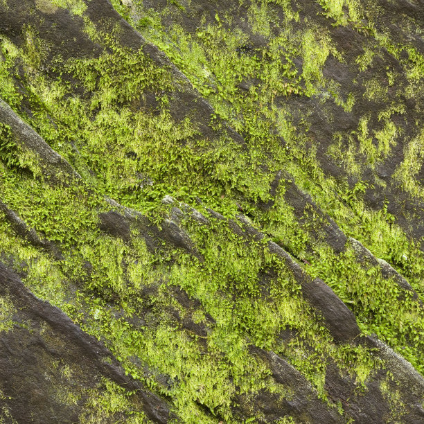 对生活的立足点图片下载