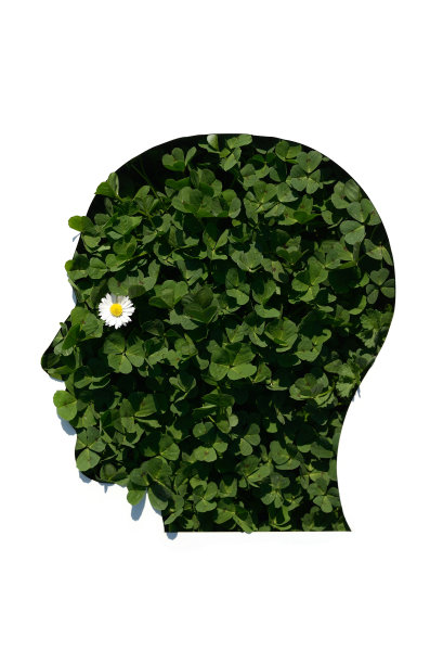 头切在纸上和安装在三叶草图片下载