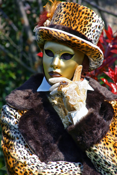 狂欢节图片下载