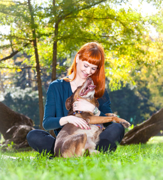 一个女人和她的大狗在公园里玩得很开心图片下载